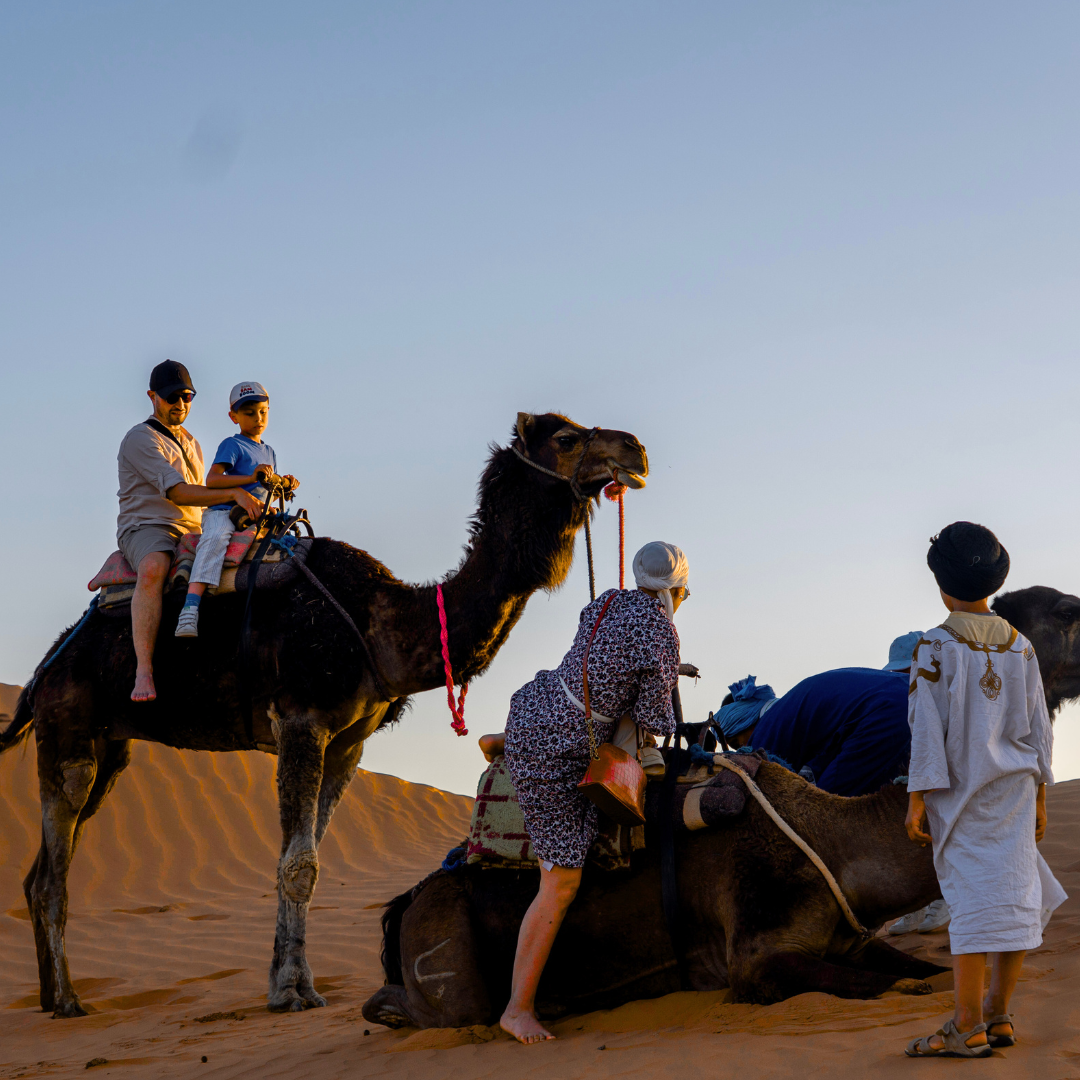 Excursion en famille à dos de dromadaire dans le désert marocain au coucher du soleil – moment de partage et d’aventure.