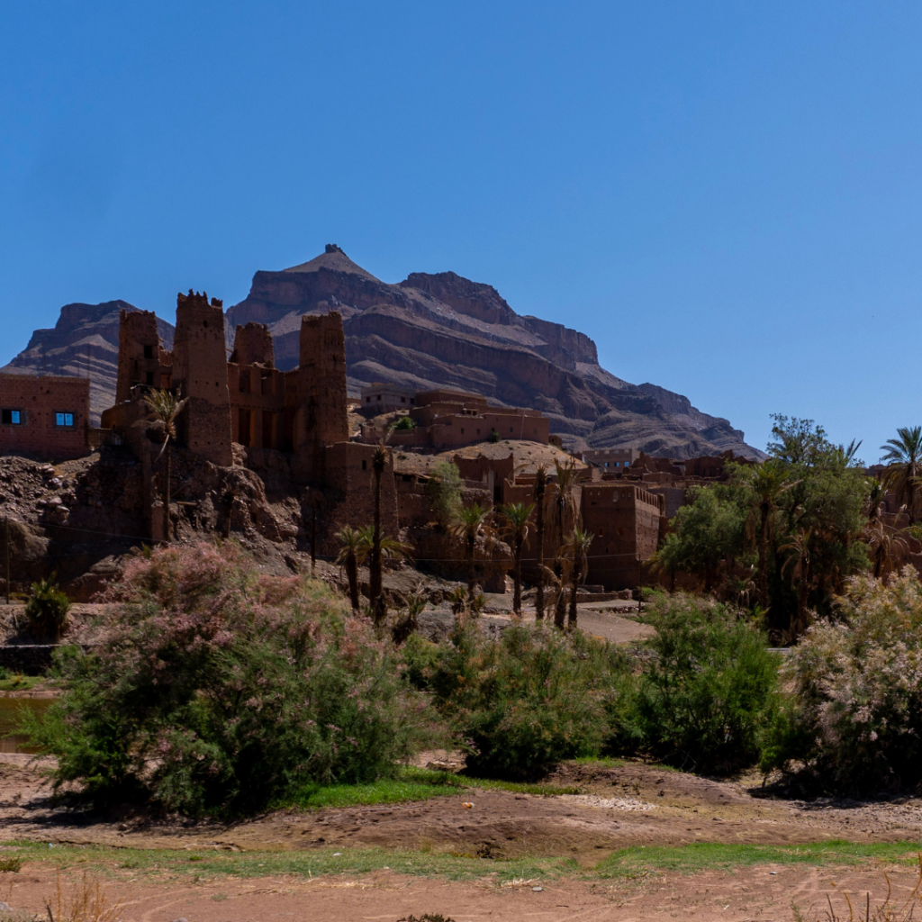 Vue d’un ancien village fortifié avec kasbahs en pisé dans la vallée du Drâa, entouré de palmiers et dominé par les montagnes marocaines