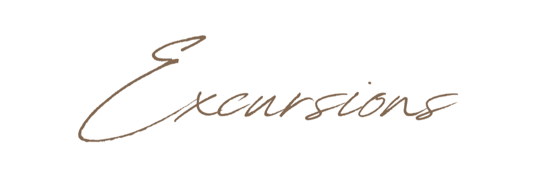 Texte manuscrit "Excursions" en calligraphie élégante sur fond blanc