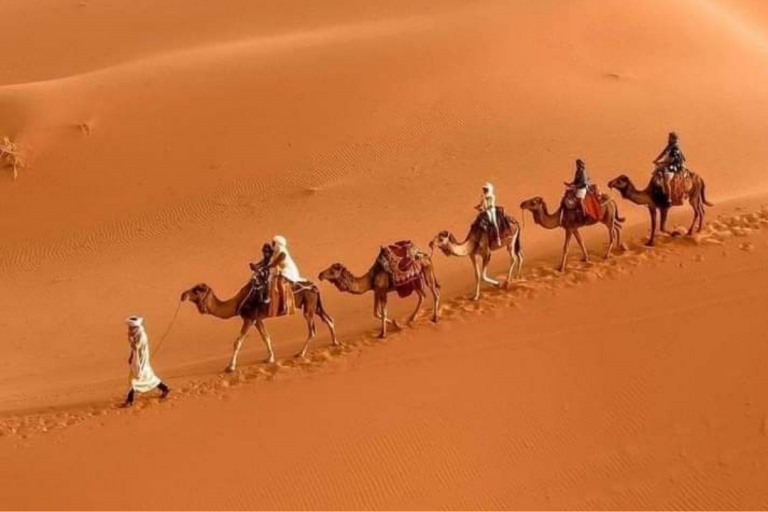 excursion-dromadaire-maroc-sahara-trek