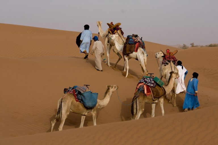 All rights Reserved- this image or derivative works, can not be used, reproduced, published, distributed or sold without written permission from the author.